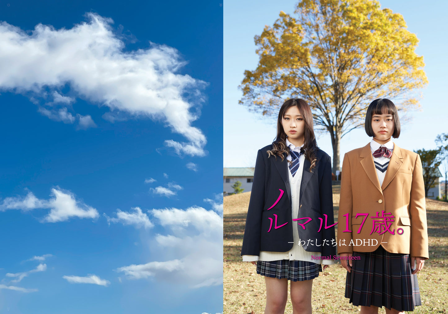 映画『ノルマル17歳。』パンフレット